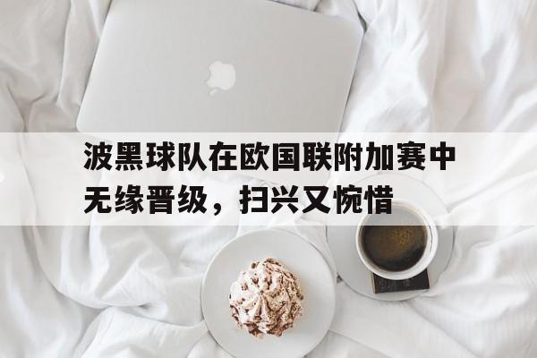 包含波黑球队在欧国联附加赛中无缘晋级，扫兴又惋惜的词条