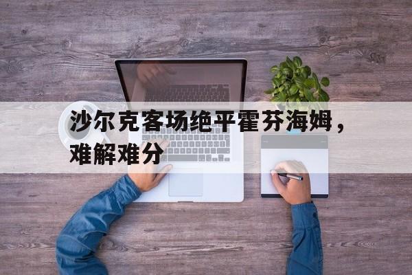 包含沙尔克客场绝平霍芬海姆，难解难分的词条